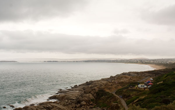 When the whales return: the opening of the Fleurieu whale season