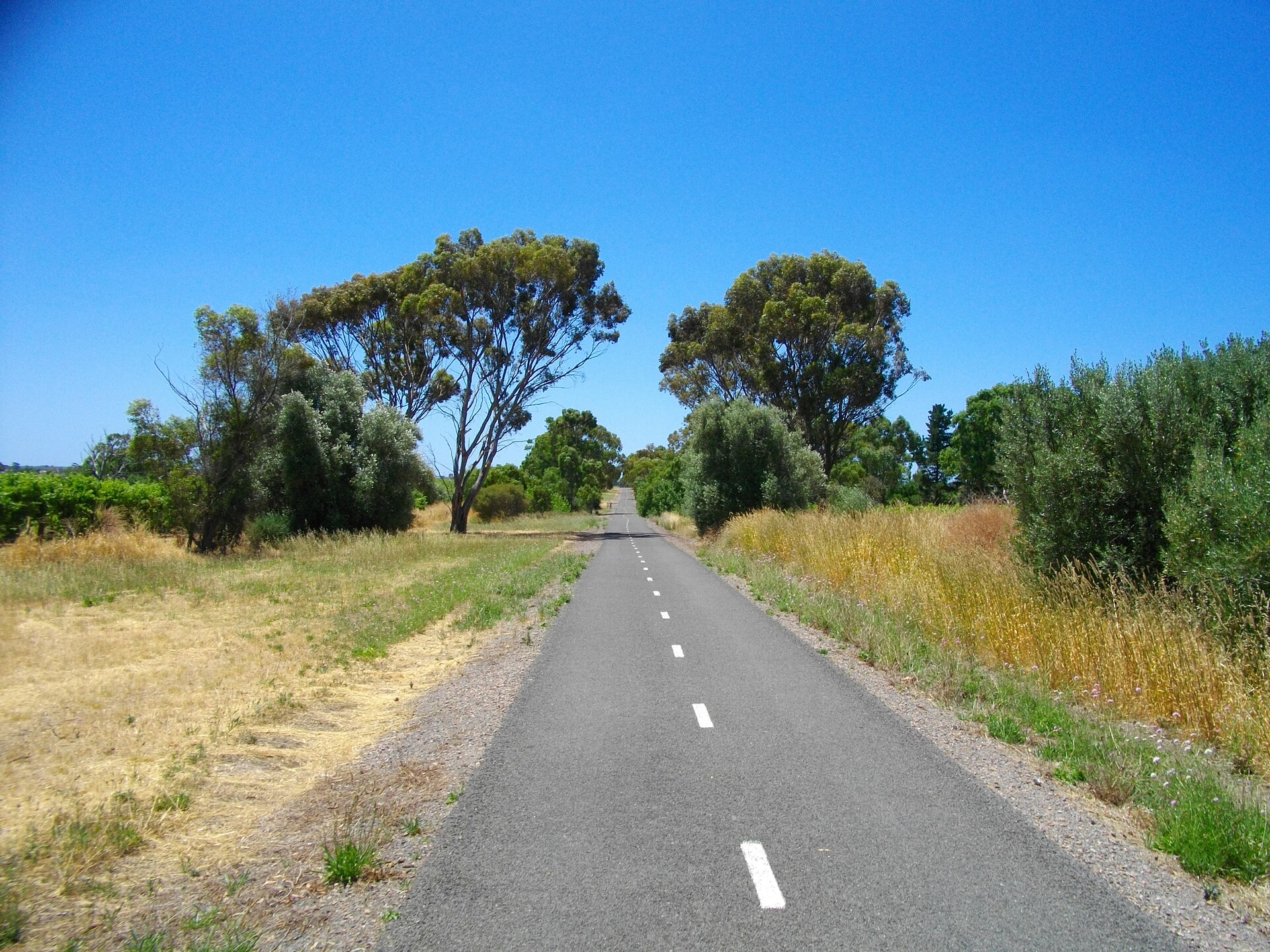 Coast to Vines Rail Trail